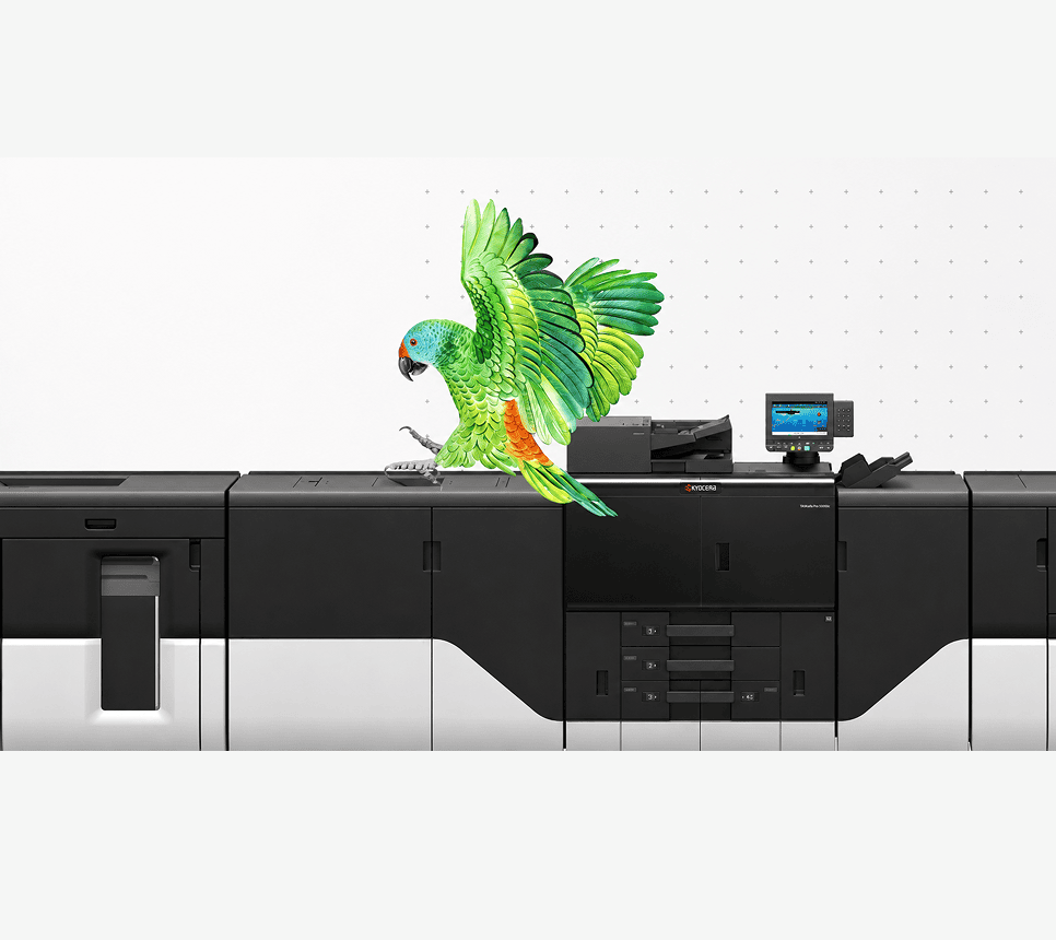 Watercolor parrot on large office printer